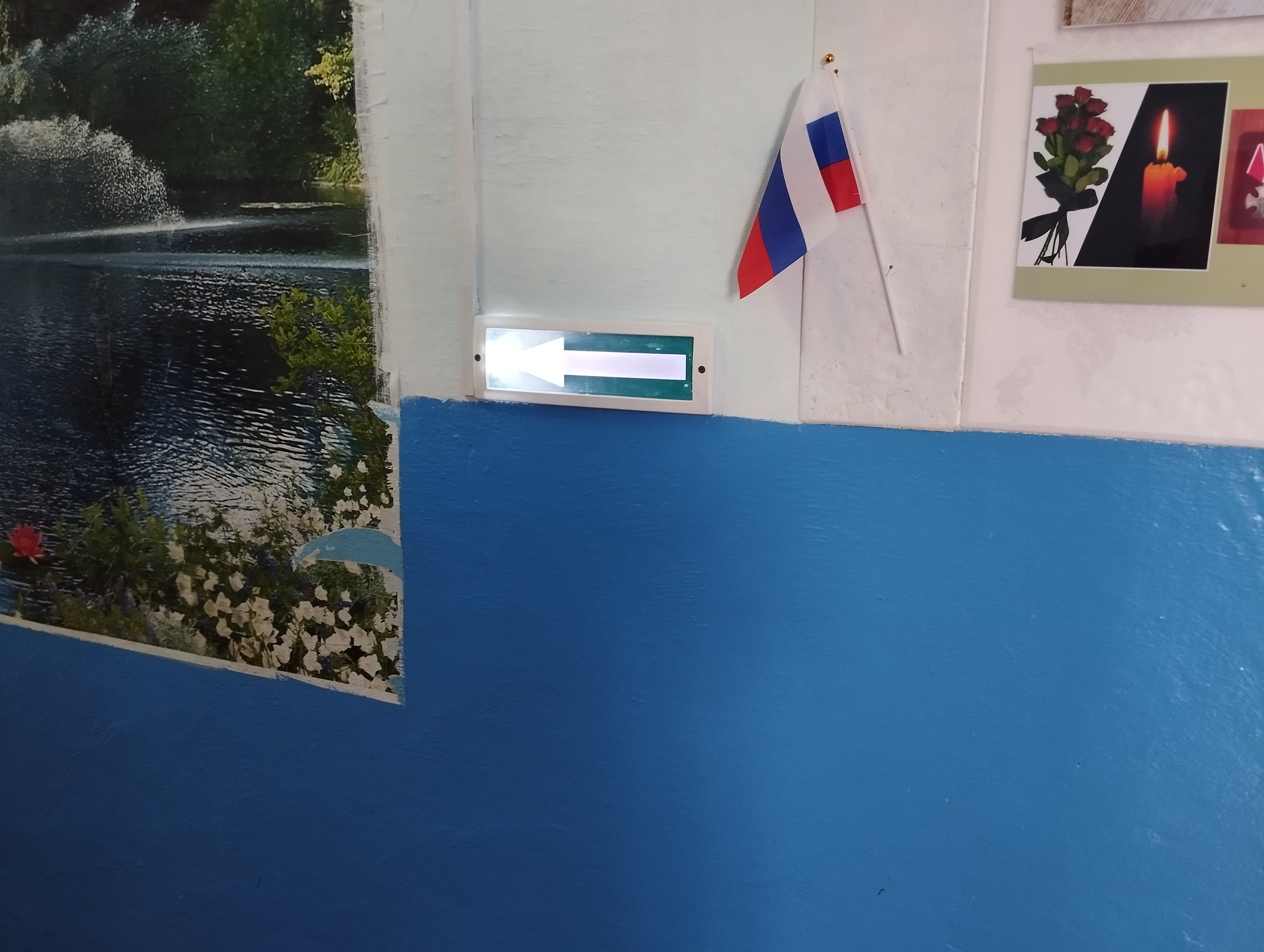 указательные знаки